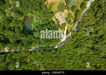 Vue zénithale aérienne de la lagune CAN Sisó et de la forêt riveraine à côté du lac Banyoles (Pla de l'Estany, Gérone Catalogne) Banque D'Images