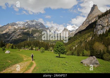 Les sommets (Grande casse) au-dessus de Pralognan la Vanoise, Parc National de la Vanoise, Alpes du Nord, Tarentaise, Savoie, France Banque D'Images