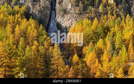 Cascade de la Pisse dans les Alpes françaises. Automne dans le Parc naturel régional du Queyras avec des mélèzes dorés. Ceillac, Hautes-Alpes, Alpes, France Banque D'Images