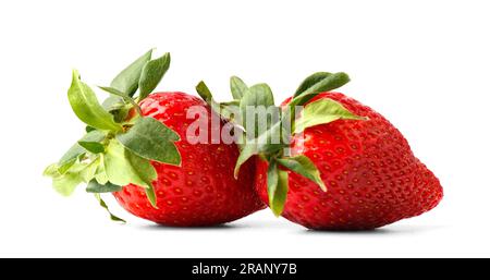 Fruits de fraise isolés. Grandes fraises rouges fraîches sur fond blanc. Banque D'Images