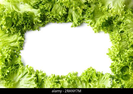 Feuilles de laitue verte fraîche sur fond blanc, vue de dessus, avec espace pour le texte. Produits utiles, végétarisme, source de vitamines Banque D'Images