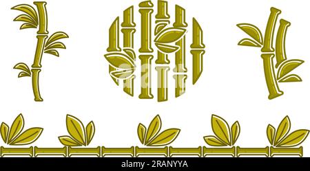 Herbe ligneuse poussant dans les tropiques, plantes de bambou Illustration de Vecteur