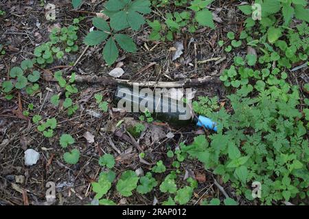 Bouteille en verre sur un arbre à mousse, écologie dans la forêt Banque D'Images