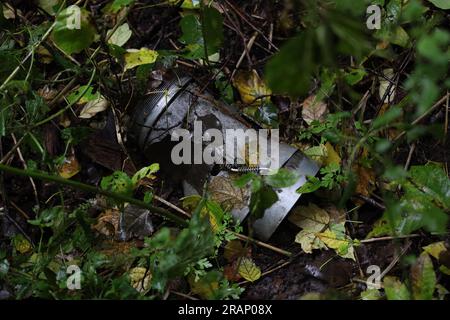 Une partie d'une fusée dans la forêt ukrainienne, la nature après la guerre, les débris de missile Banque D'Images