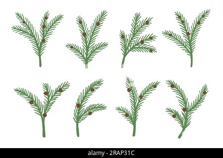 Ensemble de sapin de Noël, épinette de pin ou branches vert sapin avec des cônes pour les vacances Illustration de Vecteur