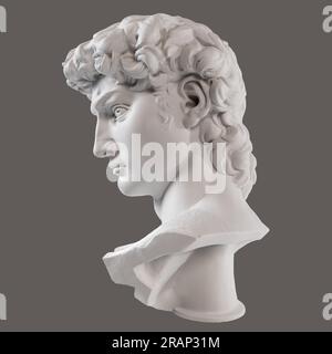 David Head de Michelangelo, Florence, Italie Banque D'Images