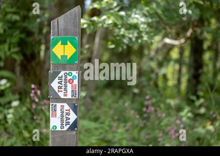 Sentier et pôle de direction avec des flèches dirigeant vers divers sentiers hors route pour les joggeurs et les randonneurs Banque D'Images