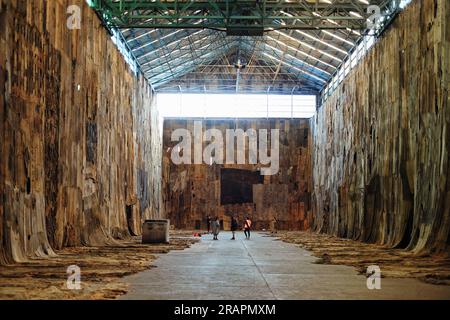 Installation art à l'échelle industrielle - artiste, Ibrahim Mahama, 'No friend but the mounts' - Biennale of Sydney 2020, Cockatoo Island, Sydney, au Banque D'Images