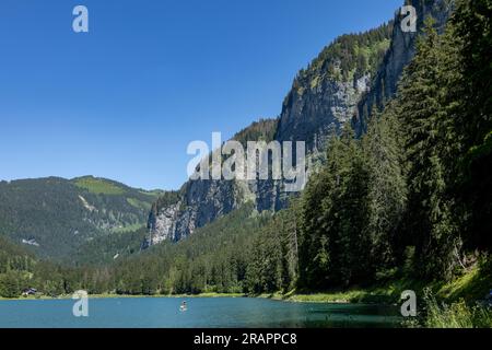 Lac Montriond vu d'en haut. Aérien de la chaîne de montagnes des Alpes françaises fondre le lac d'eau en été. Banque D'Images