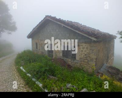 Vieille maison de campagne en pierre dans Dumanli Village dans le temps brumeux, Gumushane, Turkiye. Banque D'Images