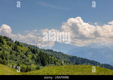 Pente de montagne verte en face du Mont Blanc sommets de neige éternels massifs dans la brume atmosphérique avec des nuages spectaculaires s'élevant au-dessus vu du Col de Joux Plan Banque D'Images