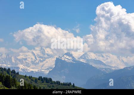 Pente de montagne verte en face du Mont Blanc sommets de neige éternels massifs dans la brume atmosphérique avec des nuages spectaculaires s'élevant au-dessus vu du Col de Joux Plan Banque D'Images