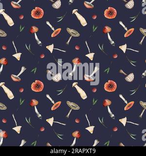 Toadstools et agaric de mouche sur un motif sans couture bleu foncé aquarelle avec des champignons toxiques rouges et blancs, herbe Banque D'Images
