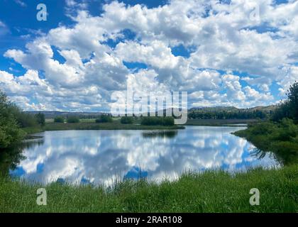 Nuages moelleux reflétés dans un étang dans les zones humides protégées de l'Oregon. Banque D'Images