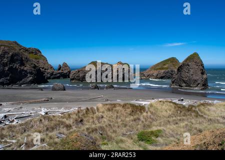 Vue panoramique d'une plage rocheuse avec de l'herbe au premier plan sur la côte de l'Oregon. Banque D'Images