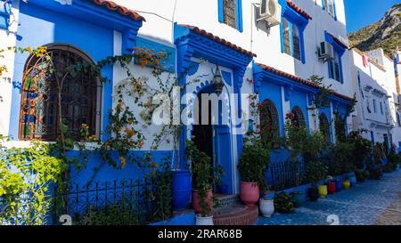 Un bâtiment décoratif avec des fleurs et des pots de fleurs dans la ville bleue avec des portes et des fenêtres cintrées Banque D'Images