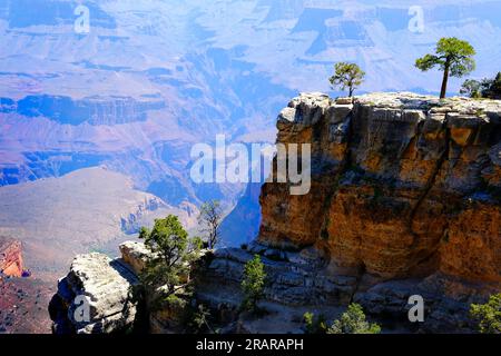 Arbres sur la falaise surplombant le Grand Canyon en Arizona aux États-Unis avec une vue imprenable sur les falaises de roche rouge et des vues Banque D'Images