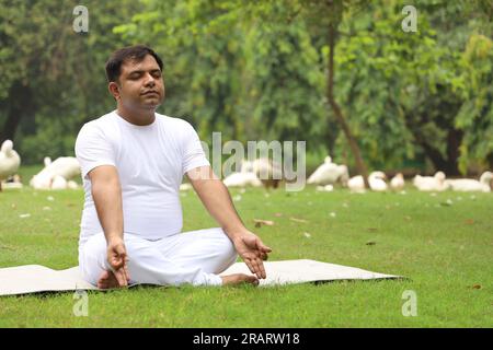 Homme obèse faisant de l'exercice et faisant du yoga poses dans un environnement vert serein tôt le matin dans le parc pour maintenir un mode de vie sain. Journée internationale du yoga. Banque D'Images