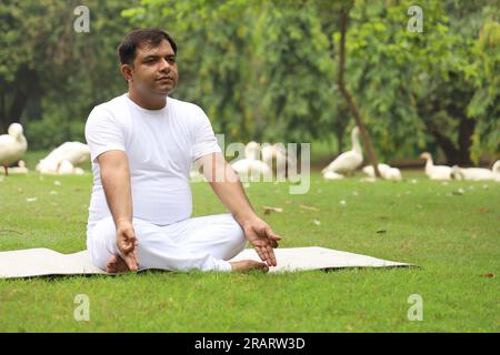 Homme obèse faisant de l'exercice et faisant du yoga poses dans un environnement vert serein tôt le matin dans le parc pour maintenir un mode de vie sain. Journée internationale du yoga. Banque D'Images