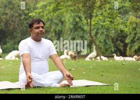 Homme obèse faisant de l'exercice et faisant du yoga poses dans un environnement vert serein tôt le matin dans le parc pour maintenir un mode de vie sain. Journée internationale du yoga. Banque D'Images