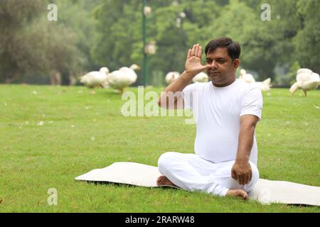 Homme obèse faisant de l'exercice et faisant du yoga poses dans un environnement vert serein tôt le matin dans le parc pour maintenir un mode de vie sain. Journée internationale du yoga. Banque D'Images