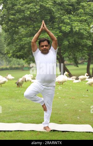 Homme obèse faisant de l'exercice et faisant du yoga poses dans un environnement vert serein tôt le matin dans le parc pour maintenir un mode de vie sain. Journée internationale du yoga. Banque D'Images