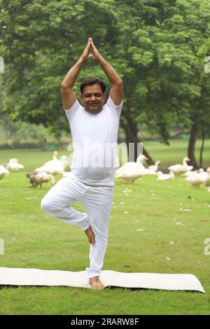 Homme obèse faisant de l'exercice et faisant du yoga poses dans un environnement vert serein tôt le matin dans le parc pour maintenir un mode de vie sain. Journée internationale du yoga. Banque D'Images