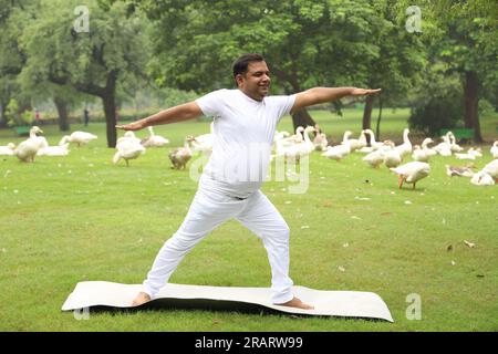 Homme obèse faisant de l'exercice et faisant du yoga poses dans un environnement vert serein tôt le matin dans le parc pour maintenir un mode de vie sain. Journée internationale du yoga. Banque D'Images