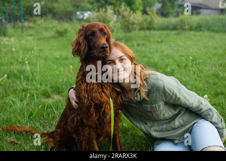 Red Irish Setter processus de formation en extérieur. Belle blonde souriante bonne jeune femme en short denim sont assis au verre et l'entraînement d'un mignon samoyed Banque D'Images