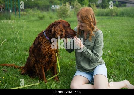Red Irish Setter processus de formation en extérieur. Belle blonde souriante bonne jeune femme en short denim sont assis au verre et l'entraînement d'un mignon samoyed Banque D'Images