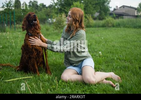 Red Irish Setter processus de formation en extérieur. Belle blonde souriante bonne jeune femme en short denim sont assis au verre et l'entraînement d'un mignon samoyed Banque D'Images