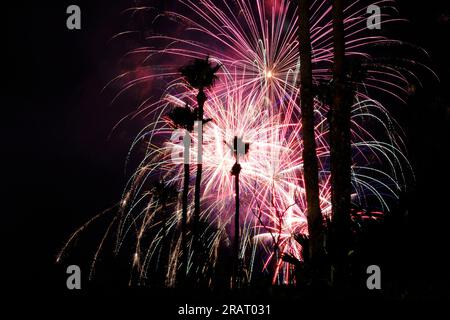 Palm Springs, Californie, États-Unis. 4 juillet 2023. Feu d'artifice du 4 juillet au-dessus des palmiers. (Image de crédit : © Ian L. Sitren/ZUMA Press Wire) USAGE ÉDITORIAL SEULEMENT! Non destiné à UN USAGE commercial ! Banque D'Images