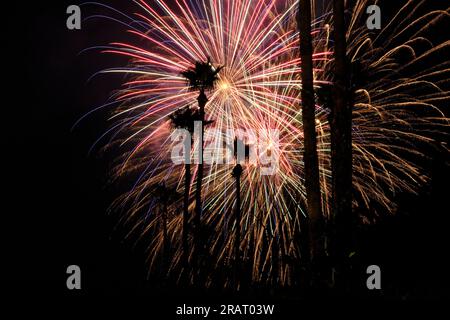 Palm Springs, Californie, États-Unis. 4 juillet 2023. Feu d'artifice du 4 juillet au-dessus des palmiers. (Image de crédit : © Ian L. Sitren/ZUMA Press Wire) USAGE ÉDITORIAL SEULEMENT! Non destiné à UN USAGE commercial ! Banque D'Images