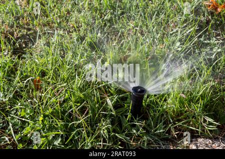 arroseur d'irrigation en fonctionnement complet Banque D'Images