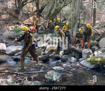 Une équipe de Los Padres traverse la rivière Tule en route pour réduire les combustibles dans le Wishon Grove dans le cadre du projet d'intervention d'urgence de séquoia géant. Photo de Kate Batten Banque D'Images