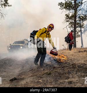 'Silver Spur', feu prescrit d'effort conjoint de 40 acres avec BLM, USFS et Montana DNRC, au sud-ouest de Roundup, MT. Banque D'Images