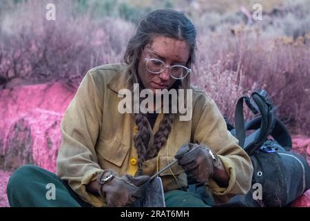 Un membre de l'équipe de tir interagences de Ruby Mountain aiguise son outil lors de l'incendie de Dixie dans la forêt nationale de Lassen. Photo de Joe Bradshaw, BLM Banque D'Images