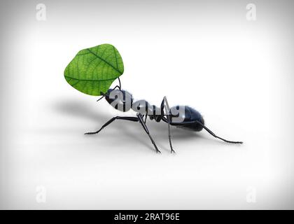 Gros plan d'une fourmi de jardin noir portant une feuille verte isolée sur un fond blanc, rendu 3D. Banque D'Images