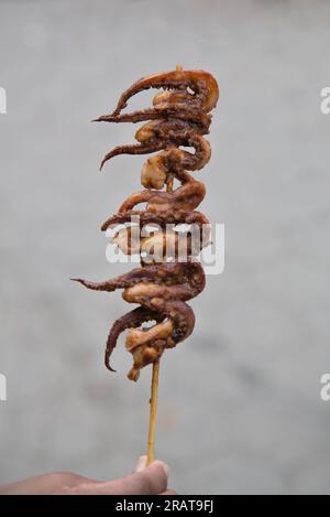 poulpe épicée grillée sur une brochette tenue à la main (piment rouge) cuisine chinoise, coréenne, bbq, barbicue, street food, Brochettes thaïlandaises de Xinjiang Banque D'Images