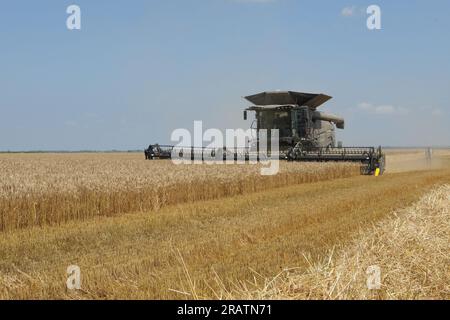 Moissonneuse-batteuse Fendt Ideal 8T lors de la récolte sur les terres arables de la société Vupik à Osijek, Croatie le 5 juillet 2023. C'est la plus grande moissonneuse de Croatie. Elle a une longueur de barre de coupe de 12,5 mètres, soit deux fois plus longue que la longueur moyenne des barres de coupe des moissonneuses-batteuses. Il se caractérise par d'excellentes solutions technologiques, dont l'une est la combinaison de roues et de chenilles, ce qui réduit le compactage du sol pendant la récolte. Parmi les nombreux avantages et innovations est l'utilisation complète de la paille. Le Fendt Ideal 8T est spécifique pour son aspect noir et ses dimensions, ce qui explique pourquoi con Banque D'Images