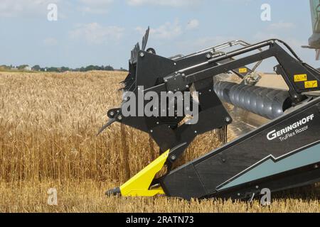 Moissonneuse-batteuse Fendt Ideal 8T lors de la récolte sur les terres arables de la société Vupik à Osijek, Croatie le 5 juillet 2023. C'est la plus grande moissonneuse de Croatie. Elle a une longueur de barre de coupe de 12,5 mètres, soit deux fois plus longue que la longueur moyenne des barres de coupe des moissonneuses-batteuses. Il se caractérise par d'excellentes solutions technologiques, dont l'une est la combinaison de roues et de chenilles, ce qui réduit le compactage du sol pendant la récolte. Parmi les nombreux avantages et innovations est l'utilisation complète de la paille. Le Fendt Ideal 8T est spécifique pour son aspect noir et ses dimensions, ce qui explique pourquoi con Banque D'Images