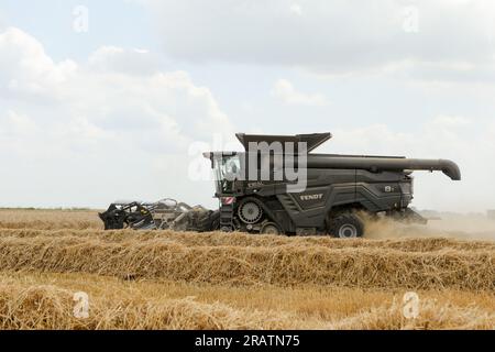 Moissonneuse-batteuse Fendt Ideal 8T lors de la récolte sur les terres arables de la société Vupik à Osijek, Croatie le 5 juillet 2023. C'est la plus grande moissonneuse de Croatie. Elle a une longueur de barre de coupe de 12,5 mètres, soit deux fois plus longue que la longueur moyenne des barres de coupe des moissonneuses-batteuses. Il se caractérise par d'excellentes solutions technologiques, dont l'une est la combinaison de roues et de chenilles, ce qui réduit le compactage du sol pendant la récolte. Parmi les nombreux avantages et innovations est l'utilisation complète de la paille. Le Fendt Ideal 8T est spécifique pour son aspect noir et ses dimensions, ce qui explique pourquoi con Banque D'Images