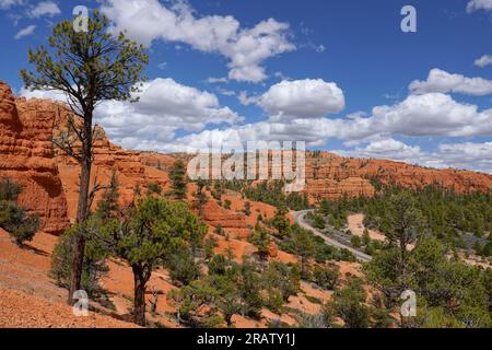 Scenic Byway 12 traversant le parc national de Red Canyon dans l'Utah Banque D'Images