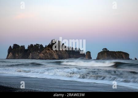 WA23483-00...WASHINGTON - marée à venir au lever du soleil sur la plage du Rialto sur la côte Pacifique dans le parc national olympique. Banque D'Images