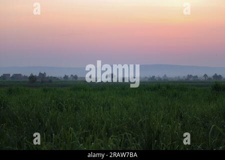 Beau coucher de soleil sur les fermes à Feral rive ouest du nil à Louxor, Egypte Banque D'Images