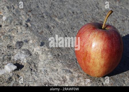 Fruits et plantes aléatoires Banque D'Images