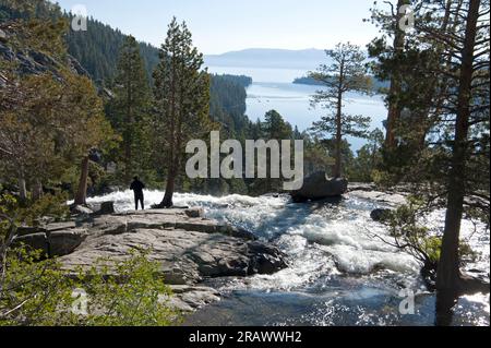 Un homme profitant de la vue d'un point de vue élevé près de la cascade dans Emerald Bay State Park, Lake Tahoe, Californie, États-Unis Banque D'Images