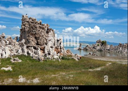 Tufas et l'eau en retrait avec les montagnes de la Sierra Nevada en arrière-plan à Mono Lake, Californie, États-Unis Banque D'Images