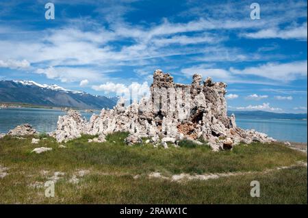 Tufas sur terre et en retrait de l'eau avec les montagnes de la Sierra Nevada en arrière-plan à Mono Lake, Californie, États-Unis Banque D'Images