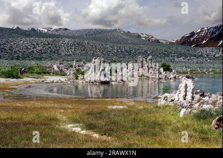 Tufas et l'eau en retrait avec les montagnes de la Sierra Nevada en arrière-plan à Mono Lake, Californie, États-Unis Banque D'Images